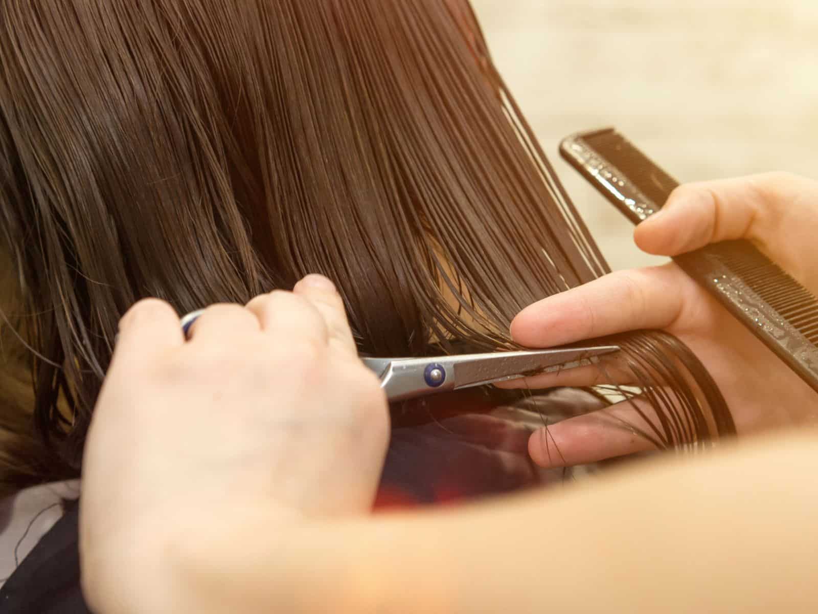 Hairdresser cutting hair
